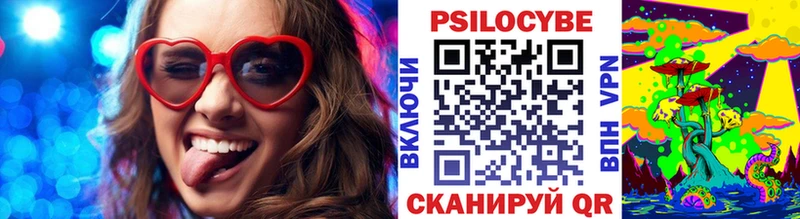 Псилоцибиновые грибы мицелий  купить закладку  Чехов 